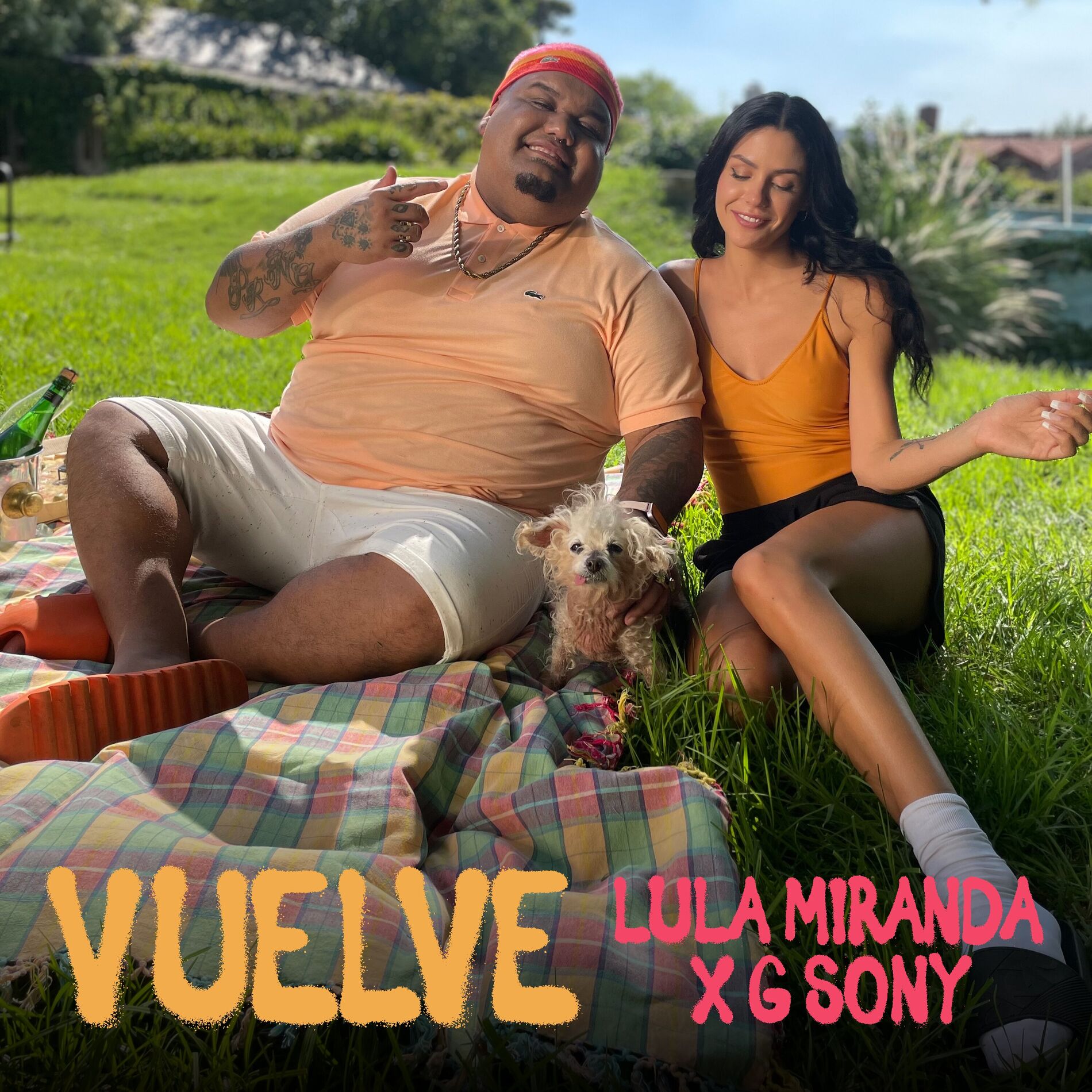 Album cover of Vuelve