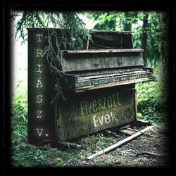 Cover of V. - Elveszett évek