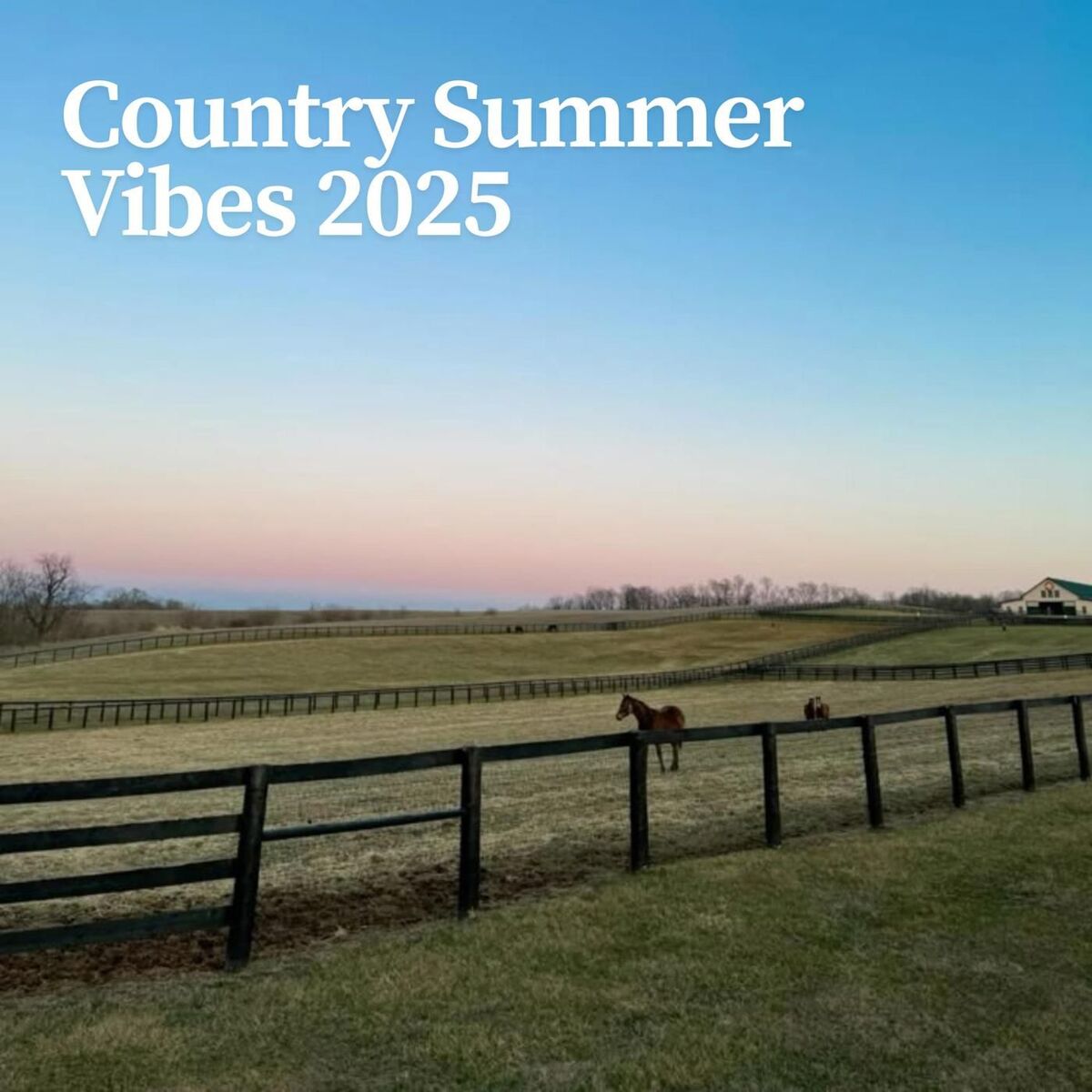 Album cover of Country Summer Vibes 2025