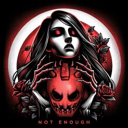 Cover of Not Enough