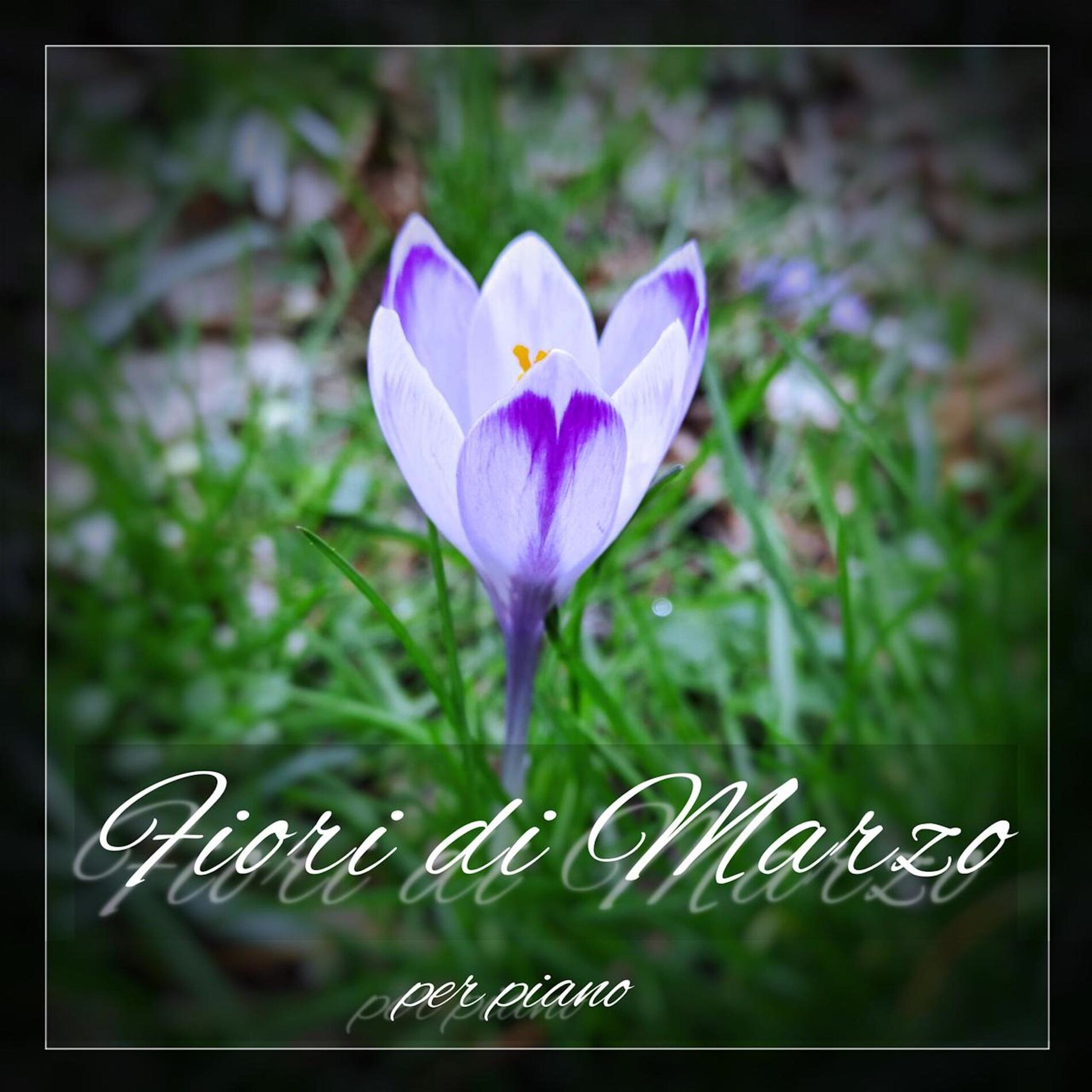 Album cover of Fiori di Marzo