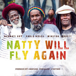 Cover of Natty Will Fly Again