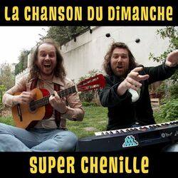 Cover of Super chenille