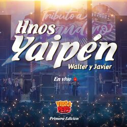 Cover of Vibra Perú (En Vivo)