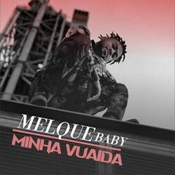Cover of Minha Vuaida
