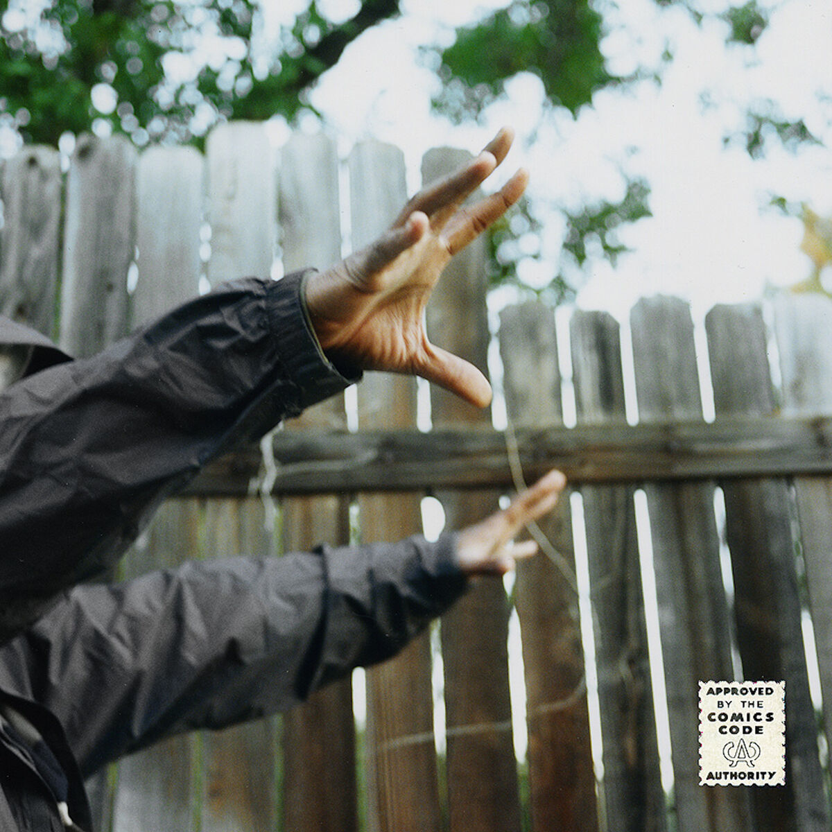 Album cover of Madvillainy 2: The Madlib Remix