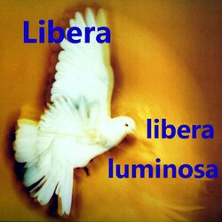 Cover of Libera Luminosa