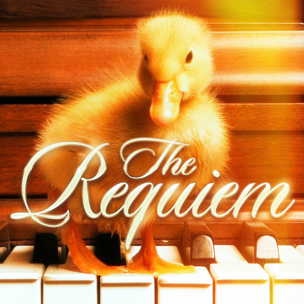 Album cover of Requiem in D Minor, K. 626: VI. Benedictus & Osanna
