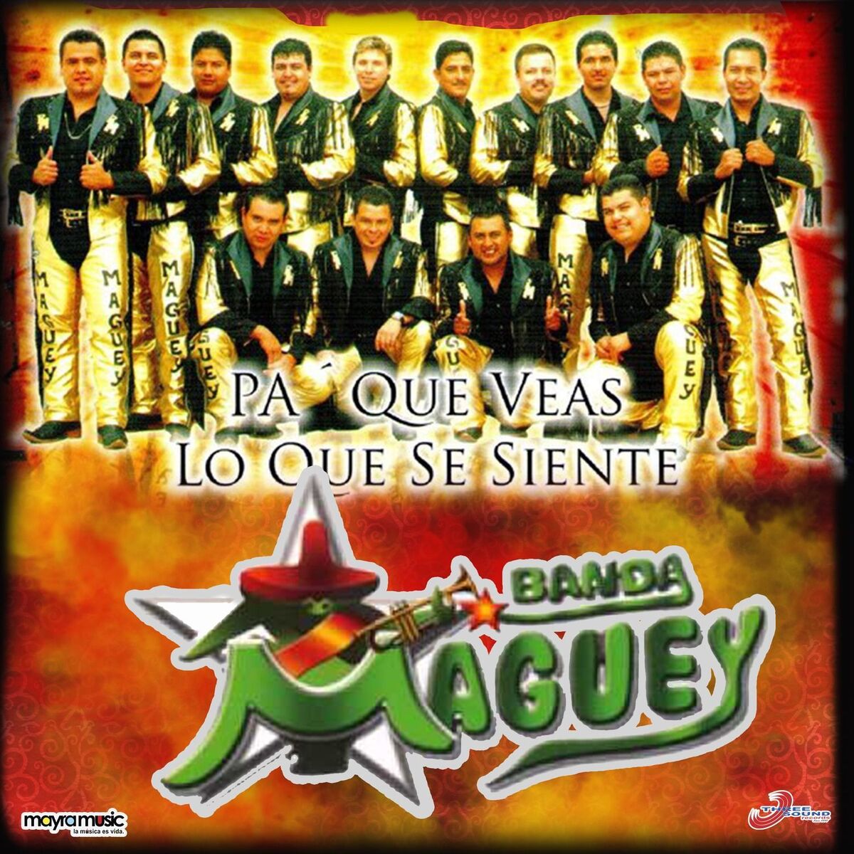 Album cover of Pa' Que Veas lo Que Se Siente