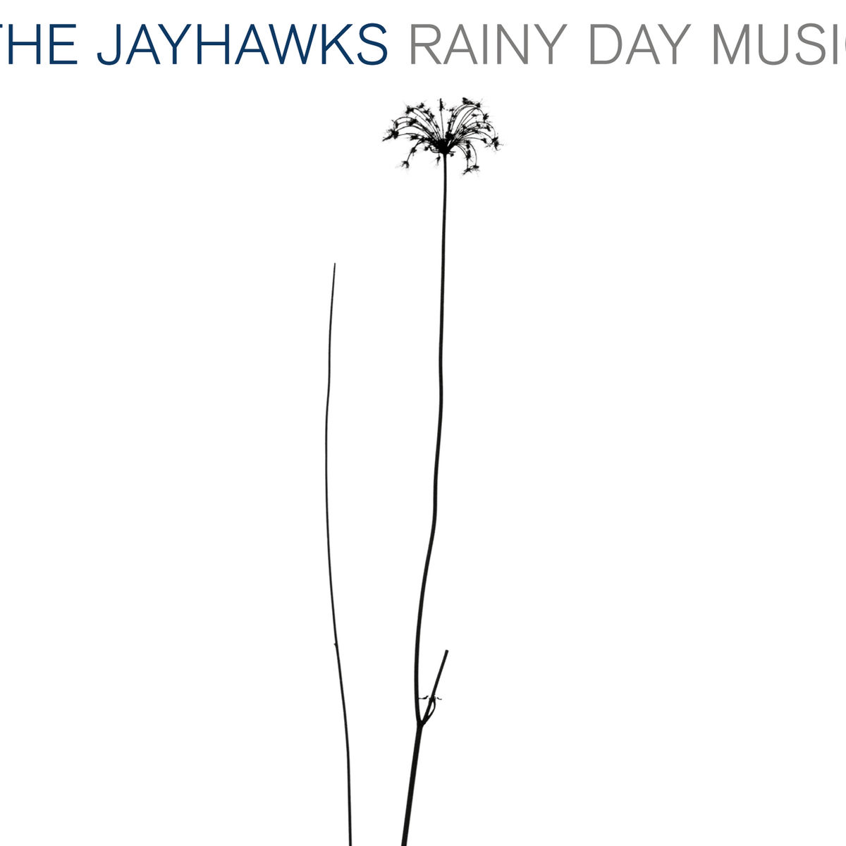 Album cover of Rainy Day Music