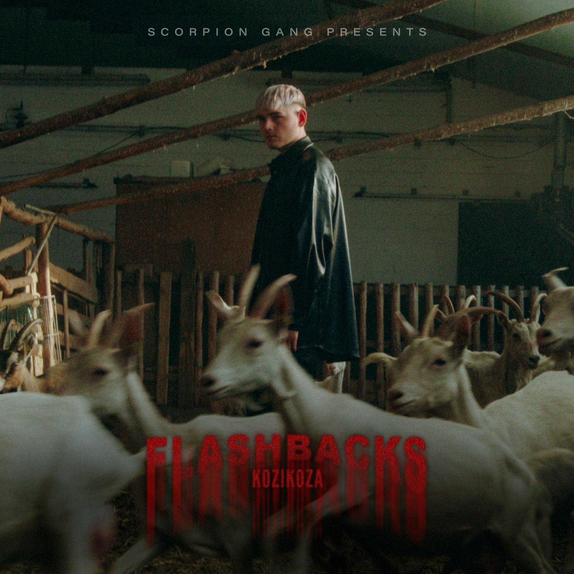 Album cover of FLASHBACKS