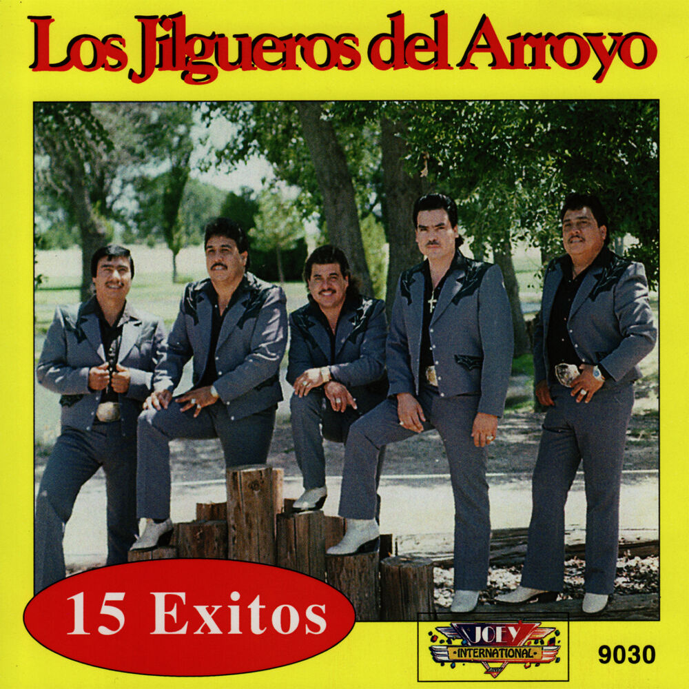 Picture of 15 Exitos