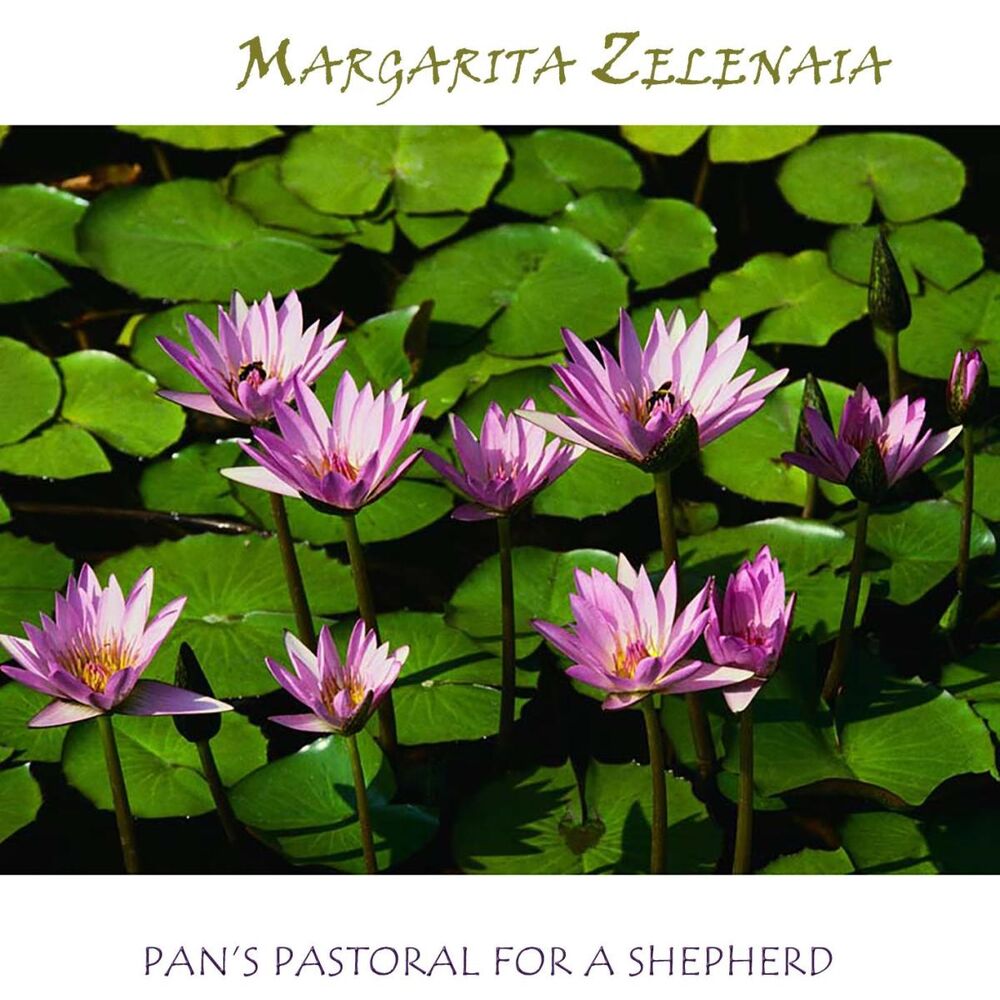 Picture of Pan's Pastoral for a Shepherd for a flute solo