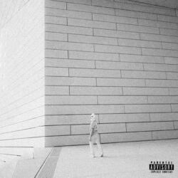 Cover of STORM