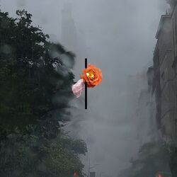 music cover
