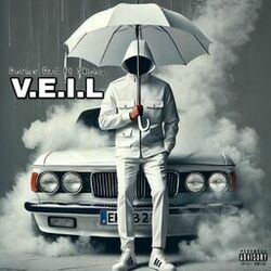 Cover of V.E.I.L