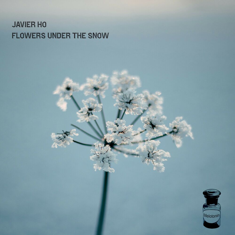 Picture of Flowers Under the Snow