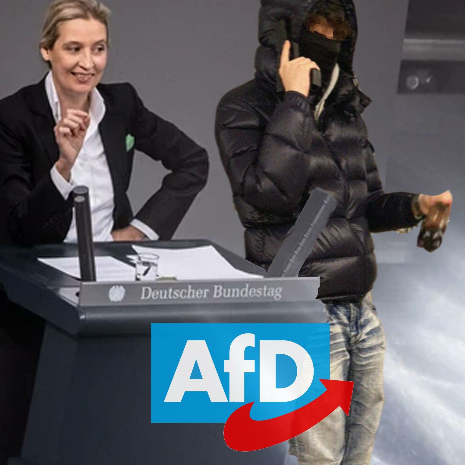 Album cover of AfD