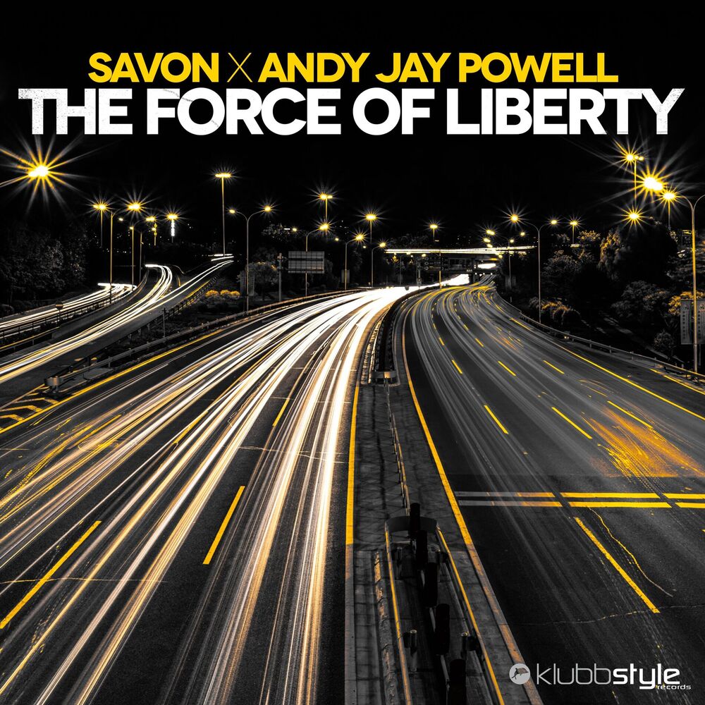 Picture of The Force of Liberty