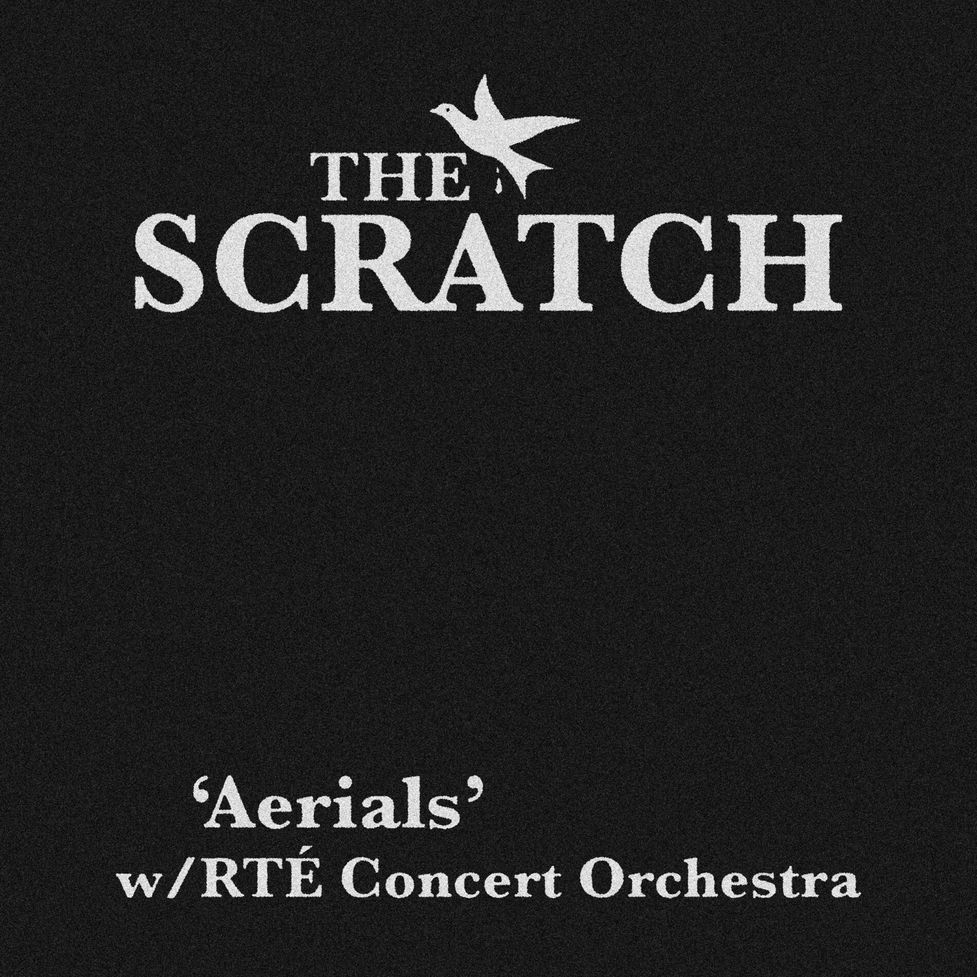 Album cover of Aerials (feat. RTÉ Concert Orchestra)