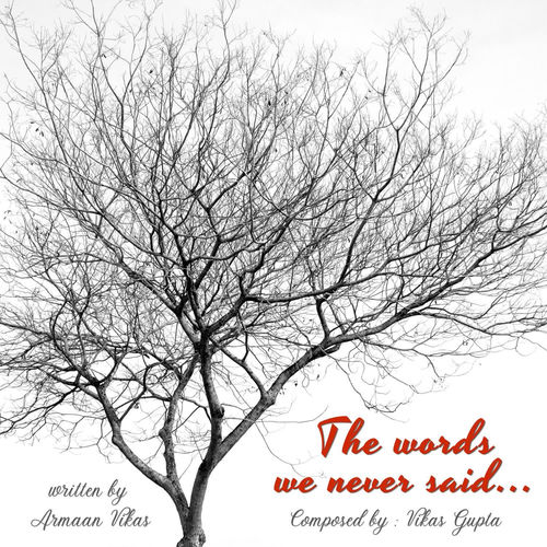 The words We Never Said
