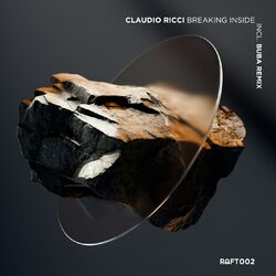 Cover of Breaking Inside