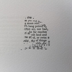 Cover of Frolic Architecture