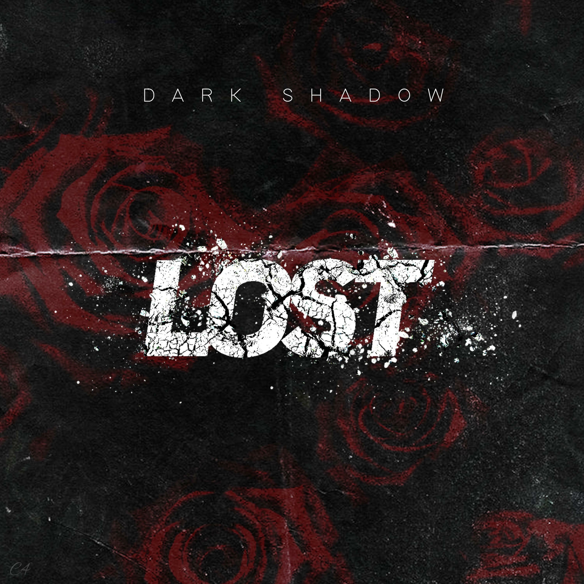 Album cover of Lost