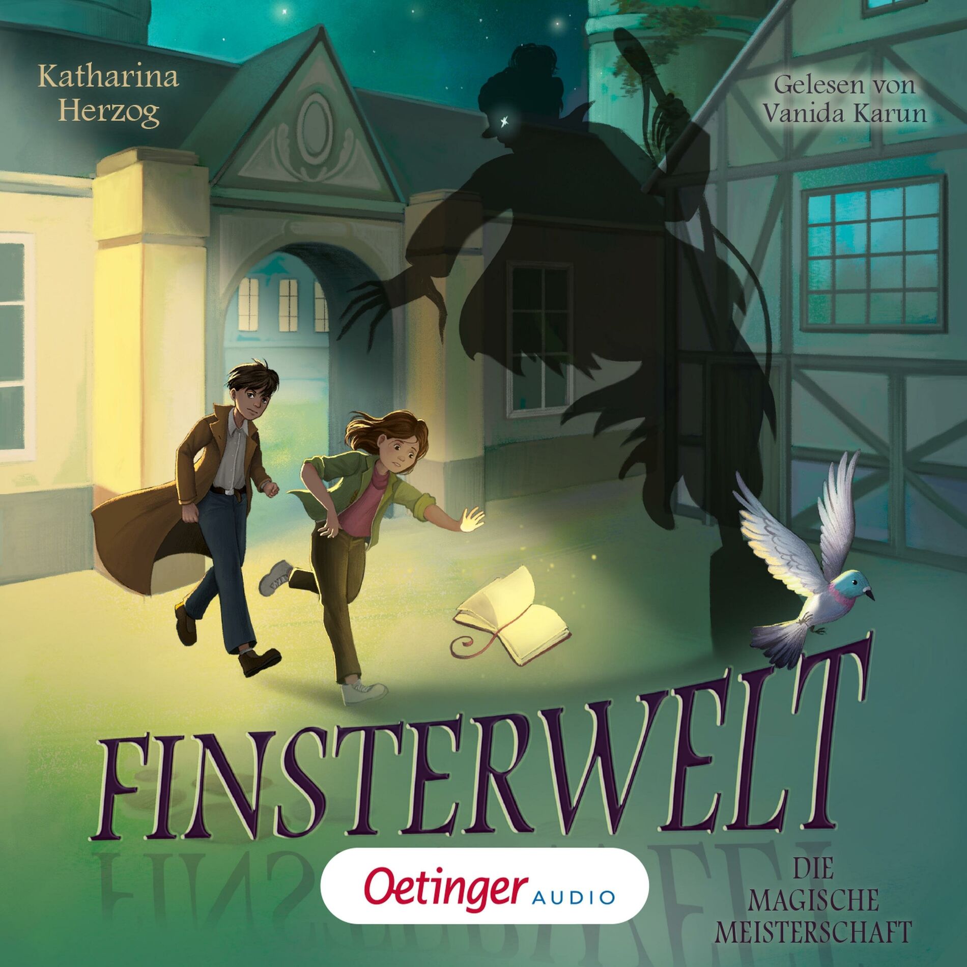 Album picture of Finsterwelt 2. Die magische Meisterschaft