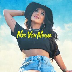 Cover of Não Vou Negar