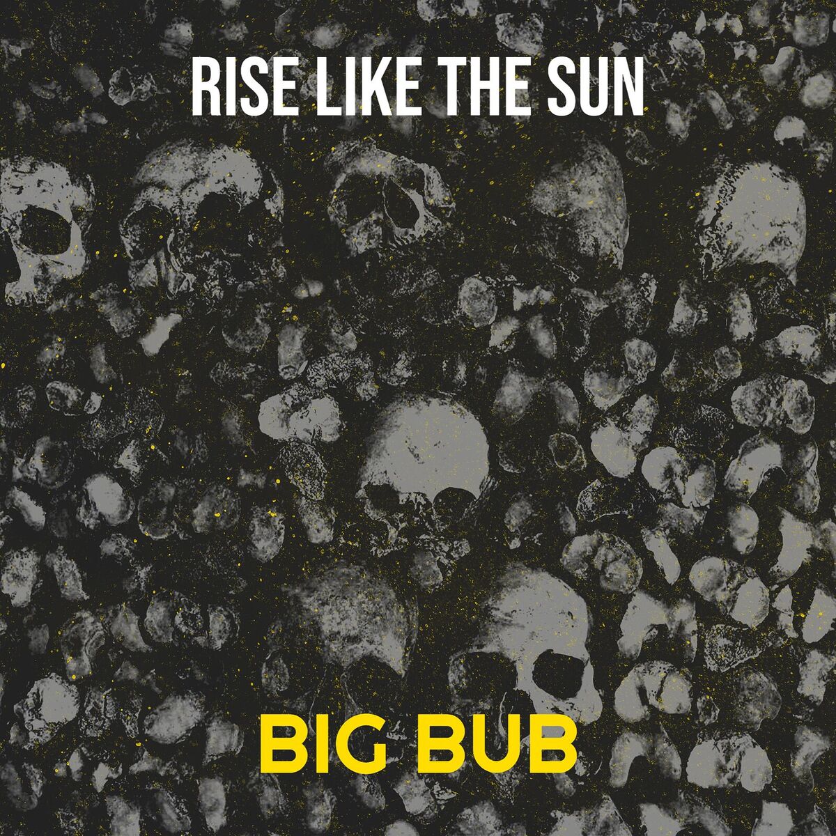 Album cover of Rise Like the Sun