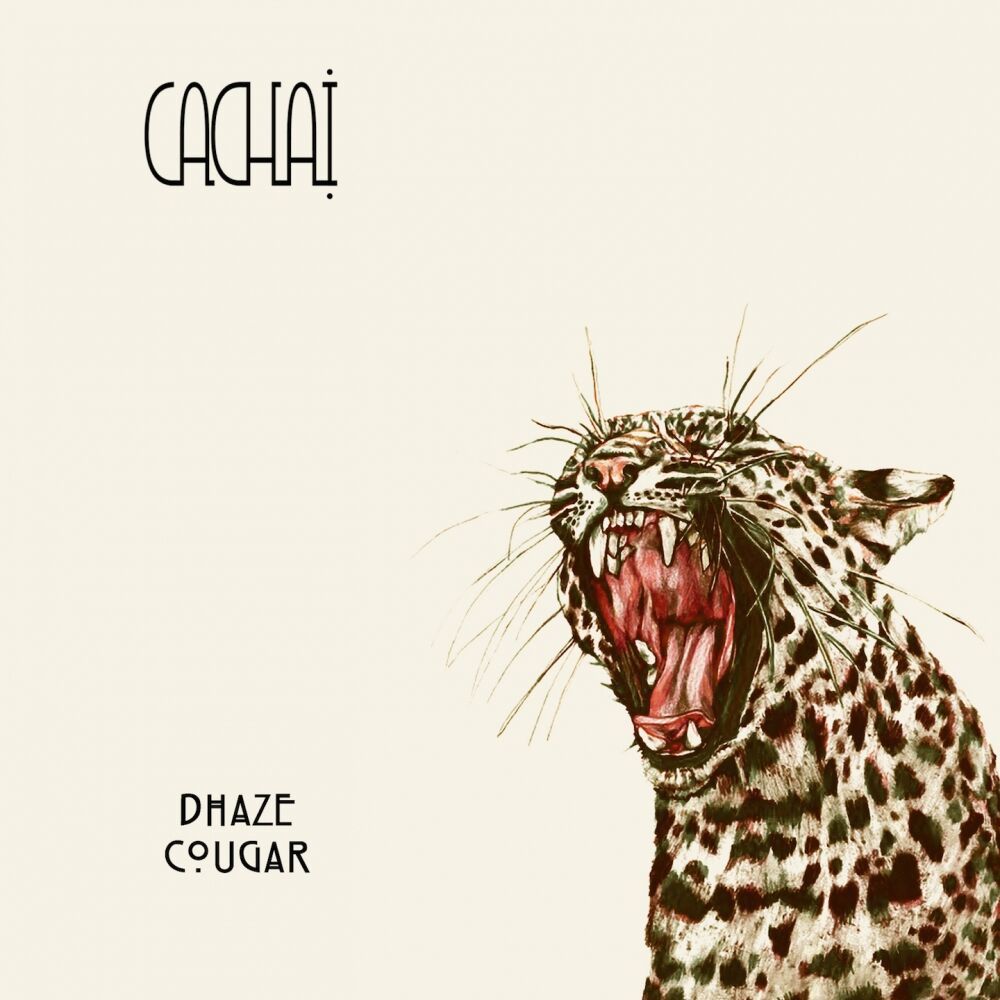 Picture of Cougar