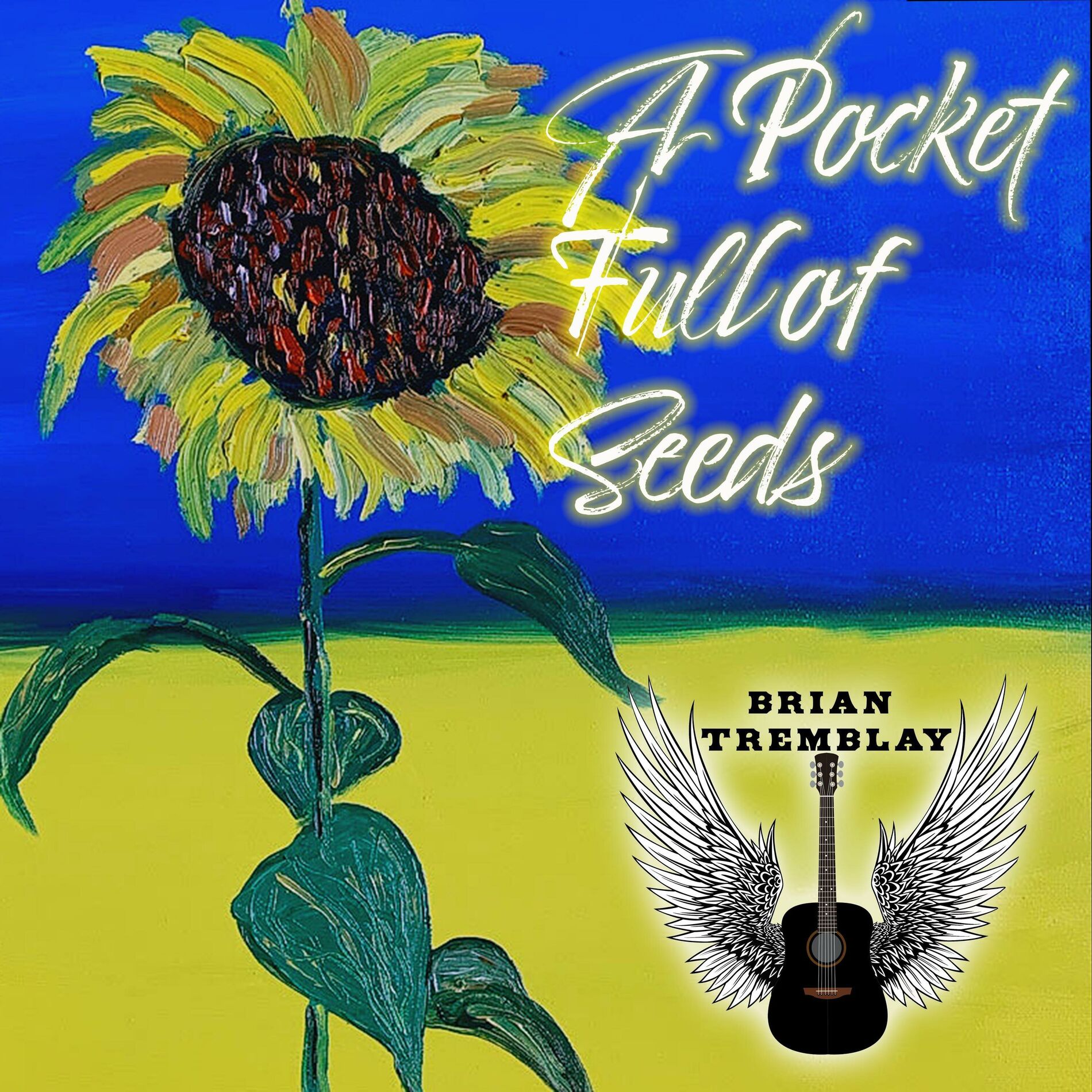 Album cover of A Pocket Full of Seeds