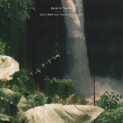 Cover of Don't Wait