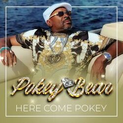 Cover of Here Come Pokey