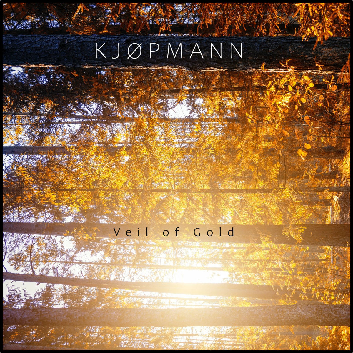 Album cover of Veil of Gold