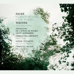 Cover of Fauré: Pelléas et Mélisande, Élégie & Mélodies - Wagner: Siegfried-Idyll
