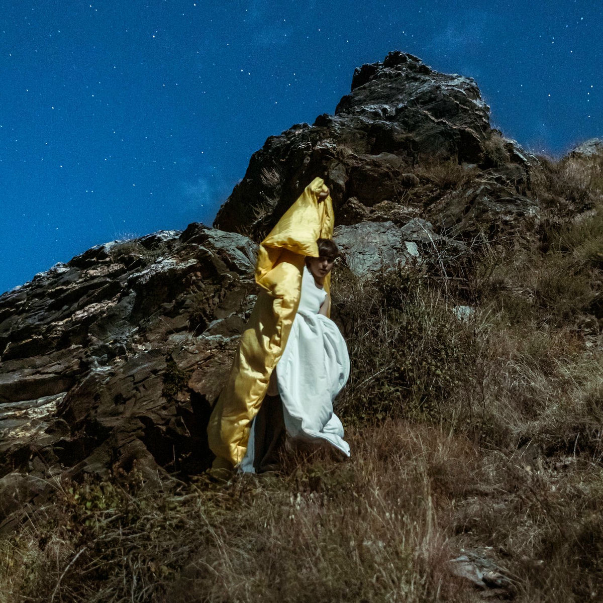 Album cover of Vigília