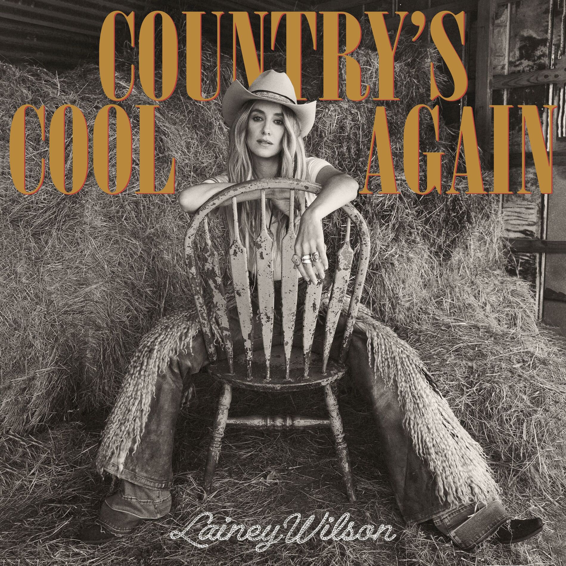 Album cover of Country's Cool Again