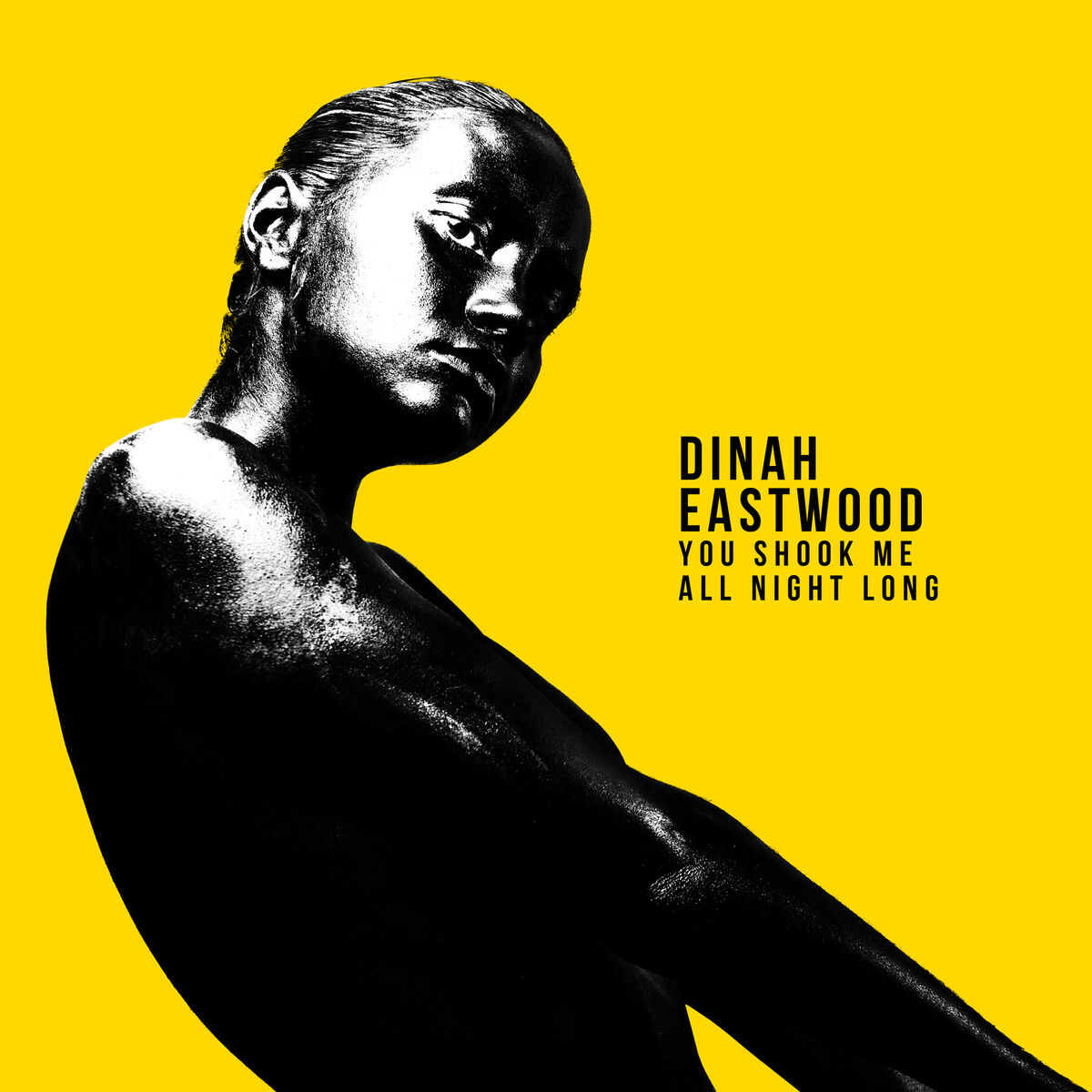 Album cover of You Shook Me All Night Long