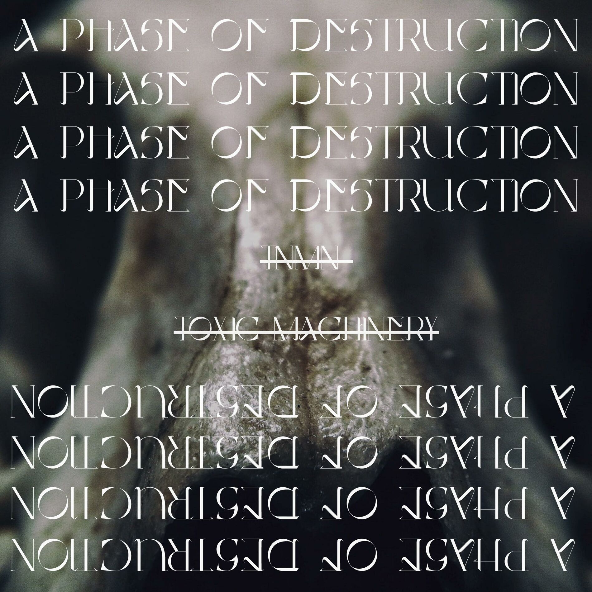 Album cover of A Phase Of Destruction