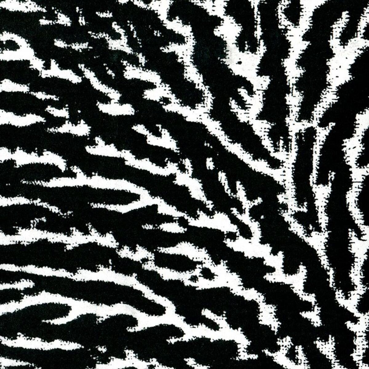 Album cover of Down to the Ocean
