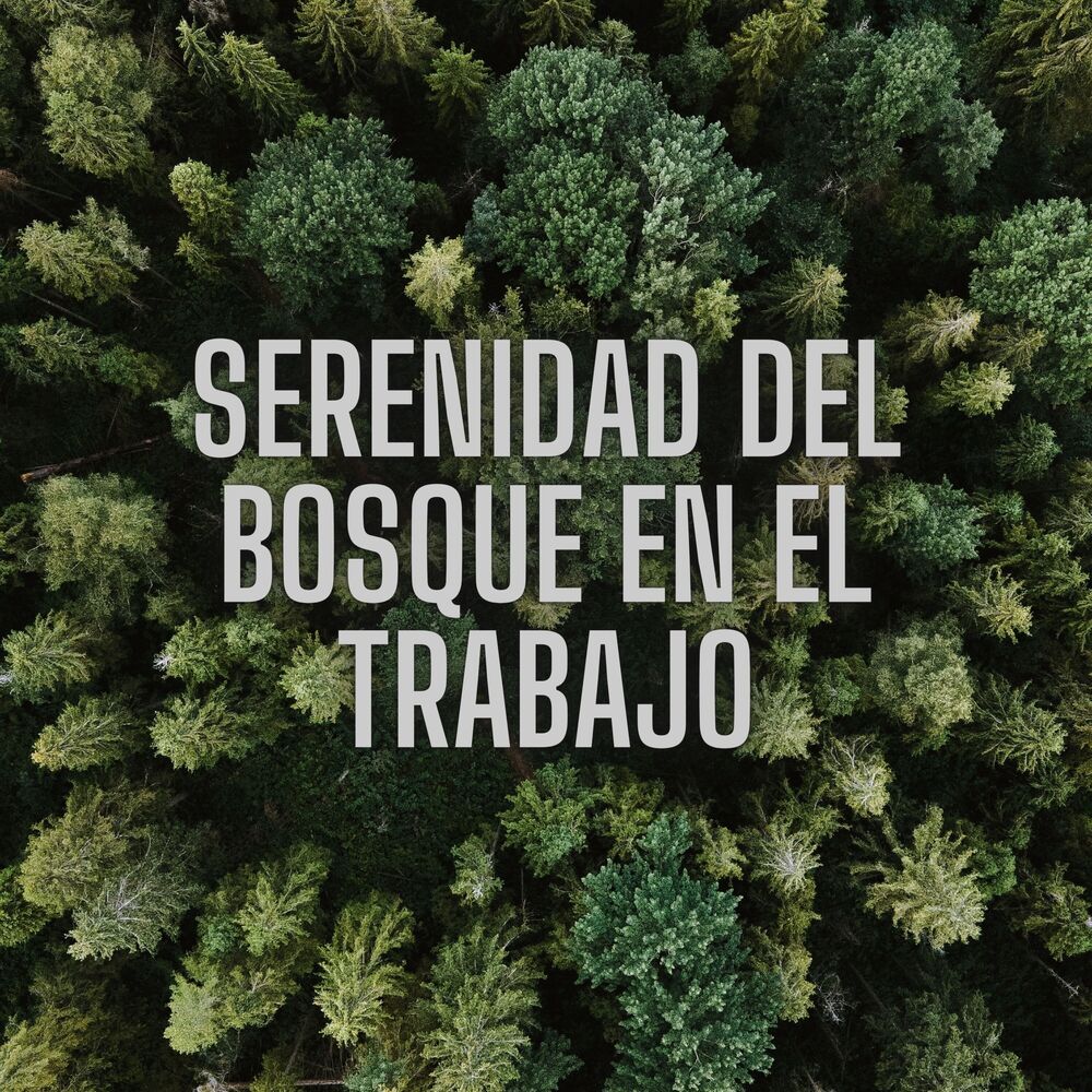Picture of Serenidad del Bosque en el Trabajo