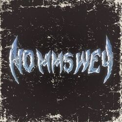 Cover of No MMS Wey