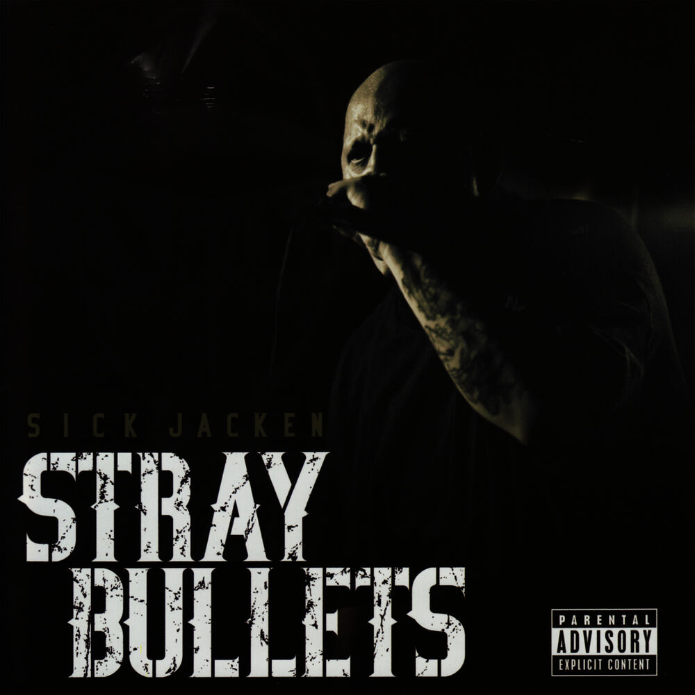 Picture of Stray Bullets