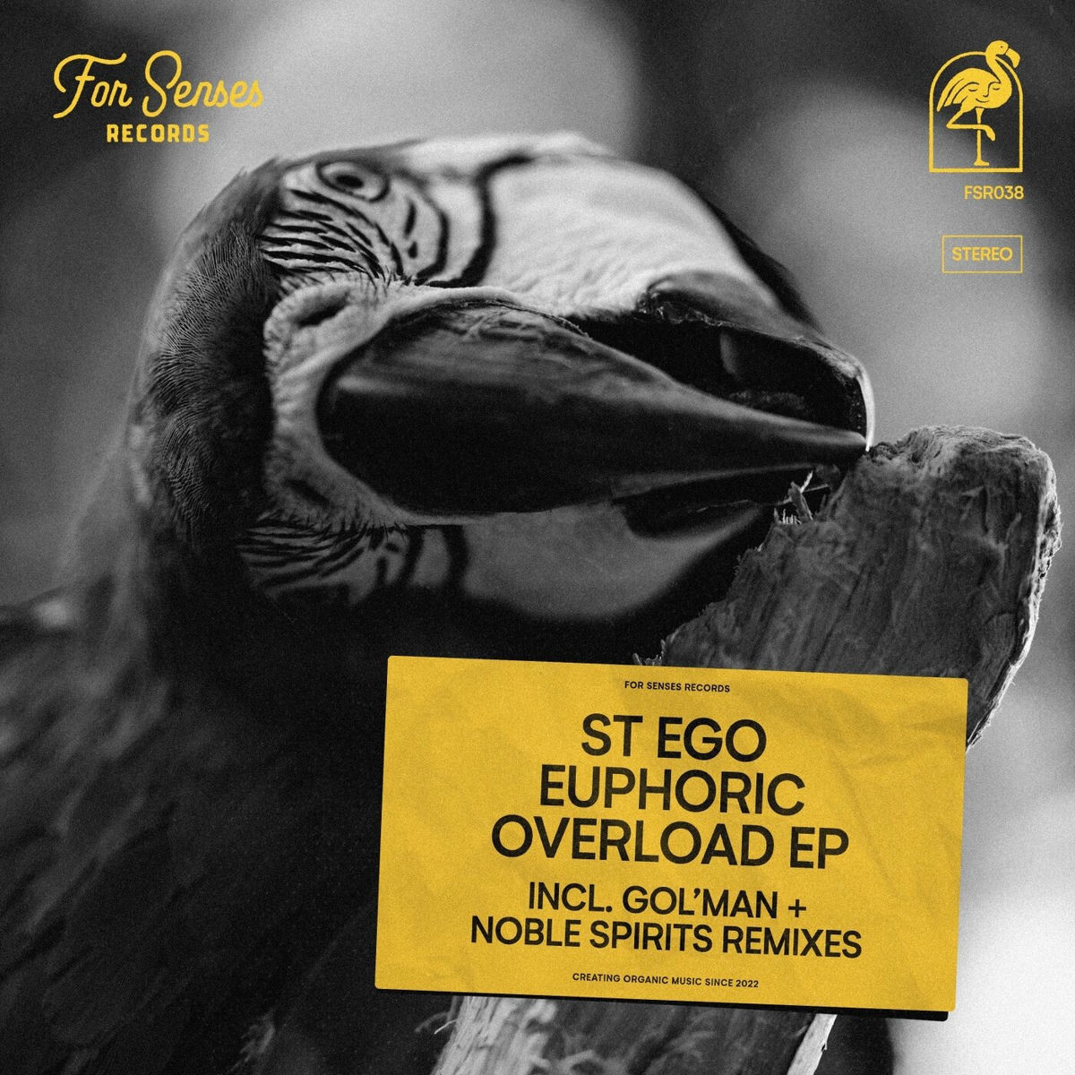 Album cover of Euphoric Overload