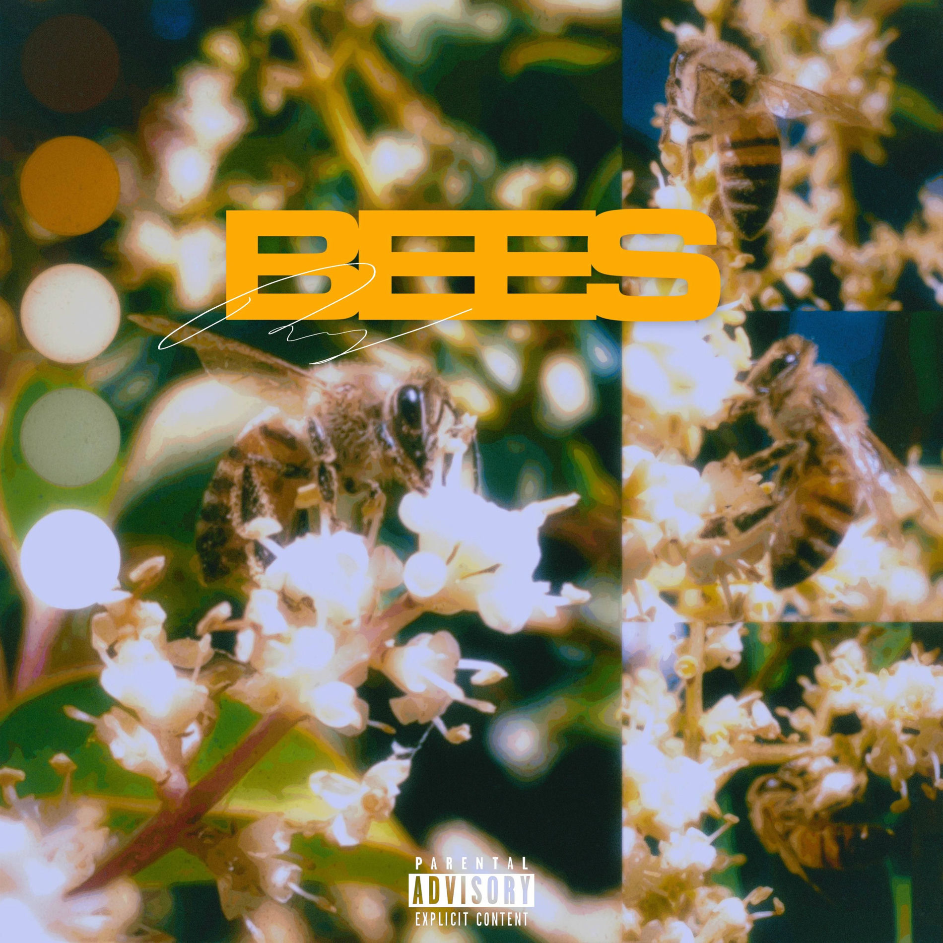 Album cover of Bees