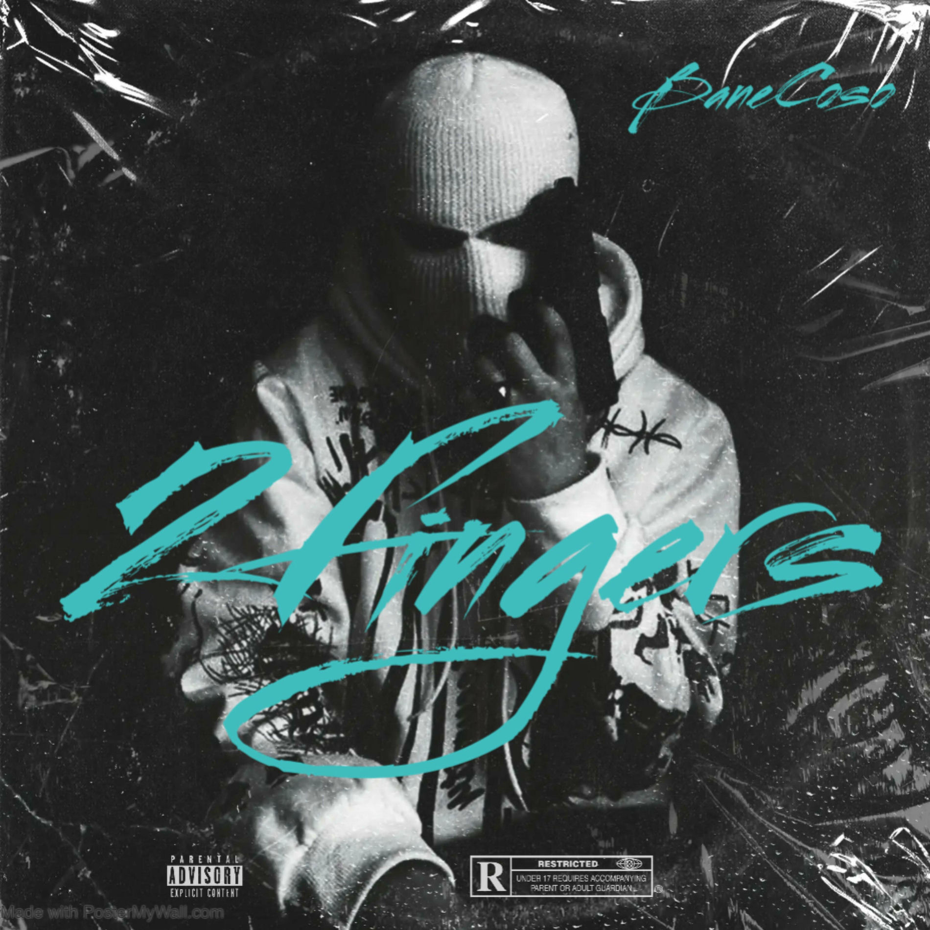 Album cover of 2 Fingers