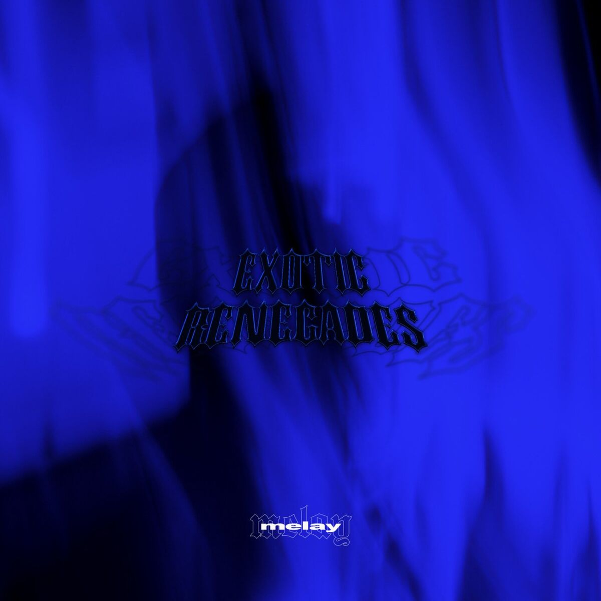 Album cover of Exotic Renegades