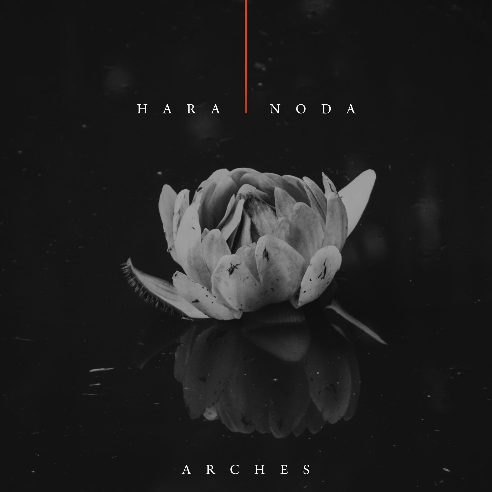 Album cover of Arches